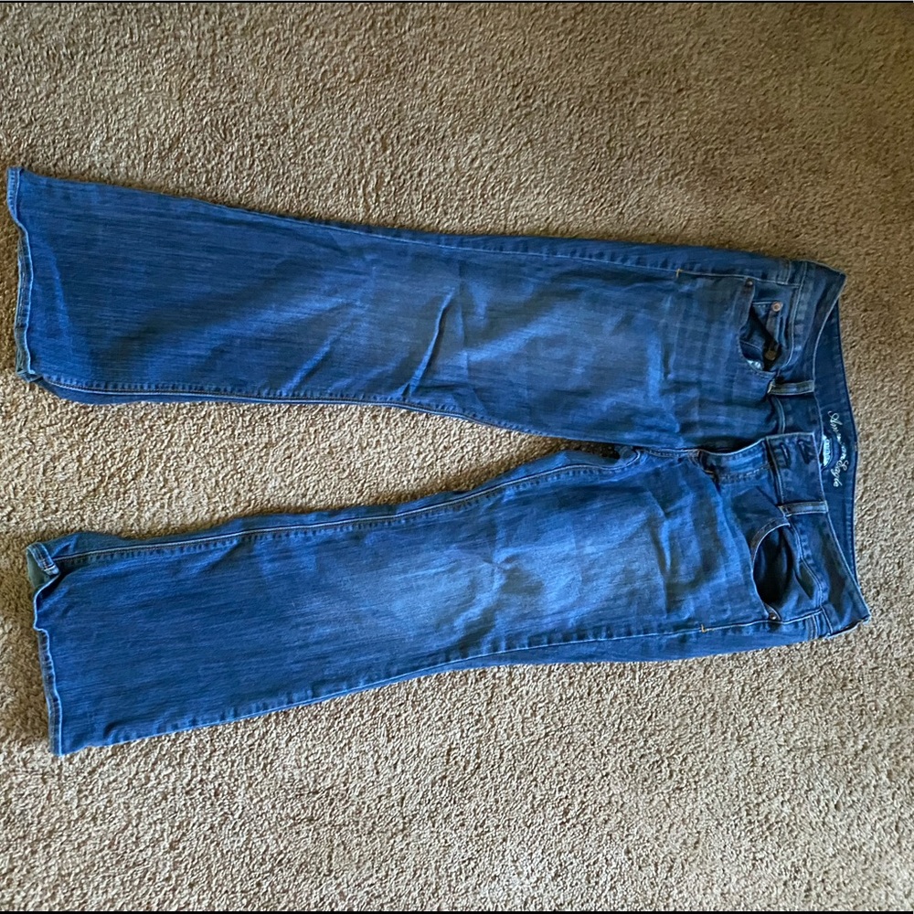 Like New AE Super Stretch Artist Size 14 Short